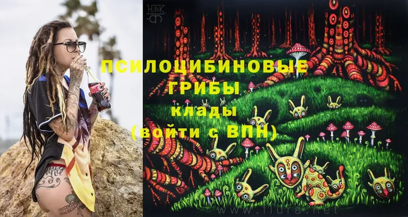 мега как войти  цены наркотик  Верхняя Пышма  Псилоцибиновые грибы Psilocybine cubensis 